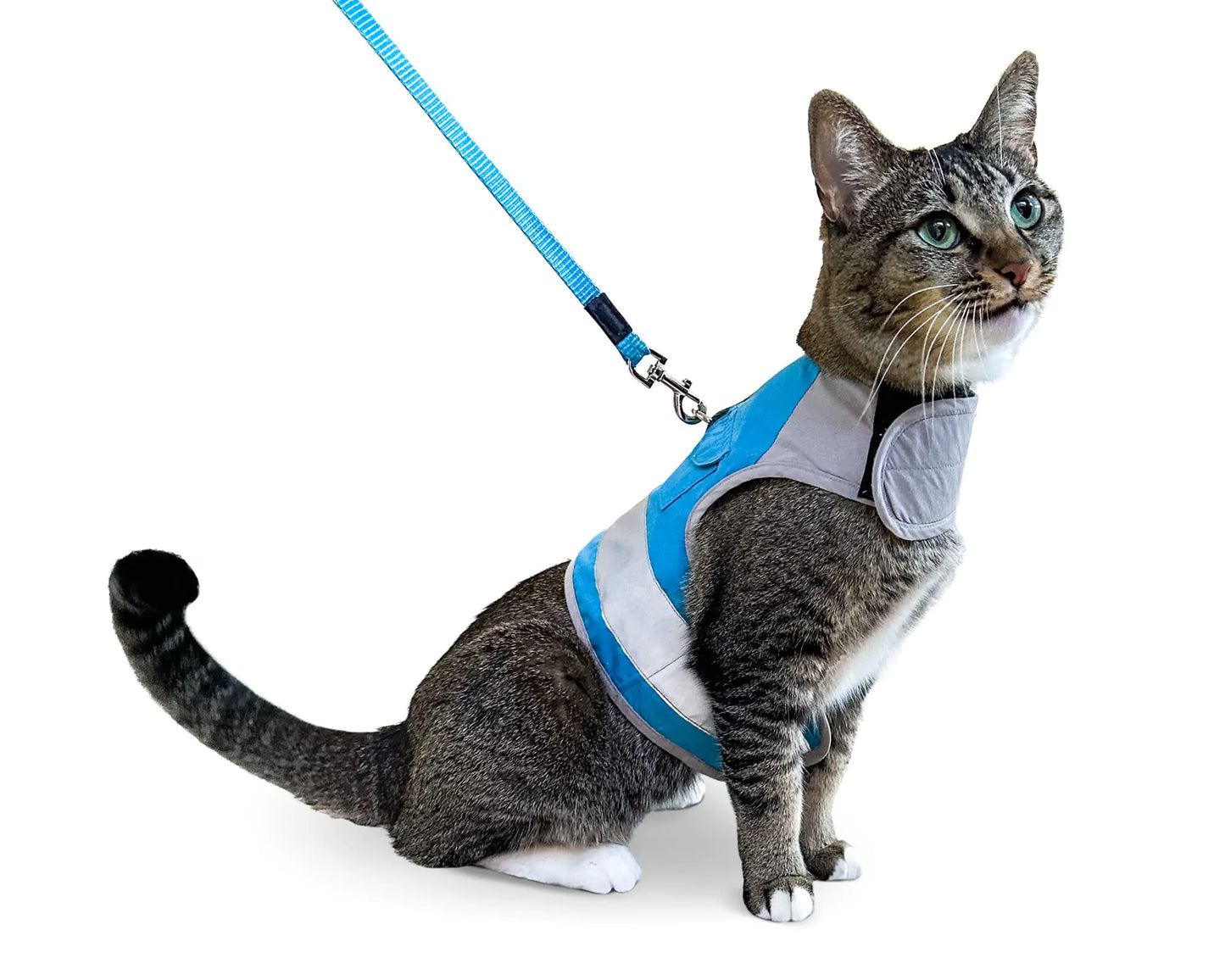 CAT SCHOOL Cat Harness and Leash Set for Outdoor Walks Training and Travel - Secure Soft Comfortable Cat Vest Harness with 10 Long Cat Leash - Easy to Use with Step-by-Step Instructions M/L