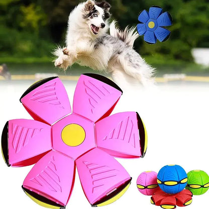 Orbix™ Pet Toy